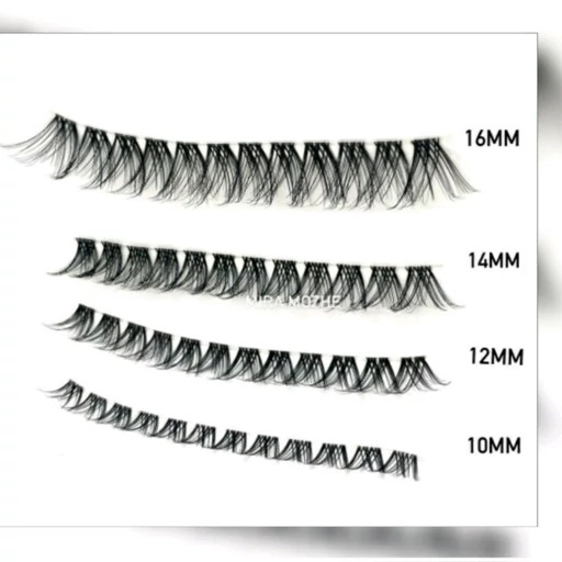 مژه ریسه ای فیشر