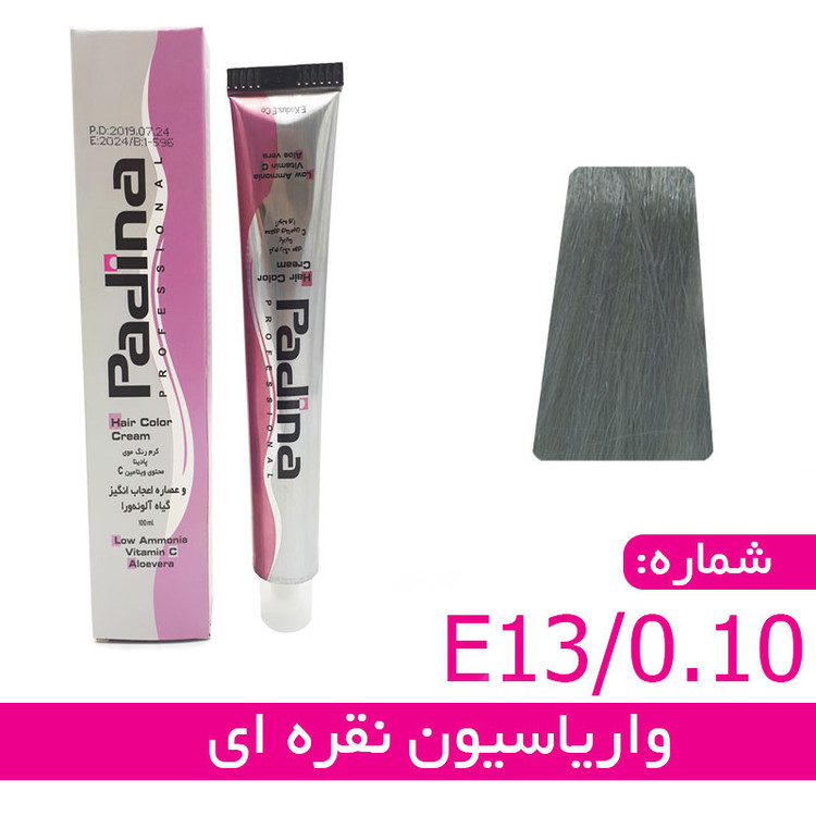 رنگ مو واریاسیون نقره ای پادینا E13/0.10