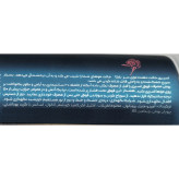 اسپری حالت دهنده مو بلگا مدل Strong Firm حجم 150 میلی لیتر